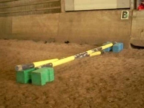 cour poney du samedi a 14h00