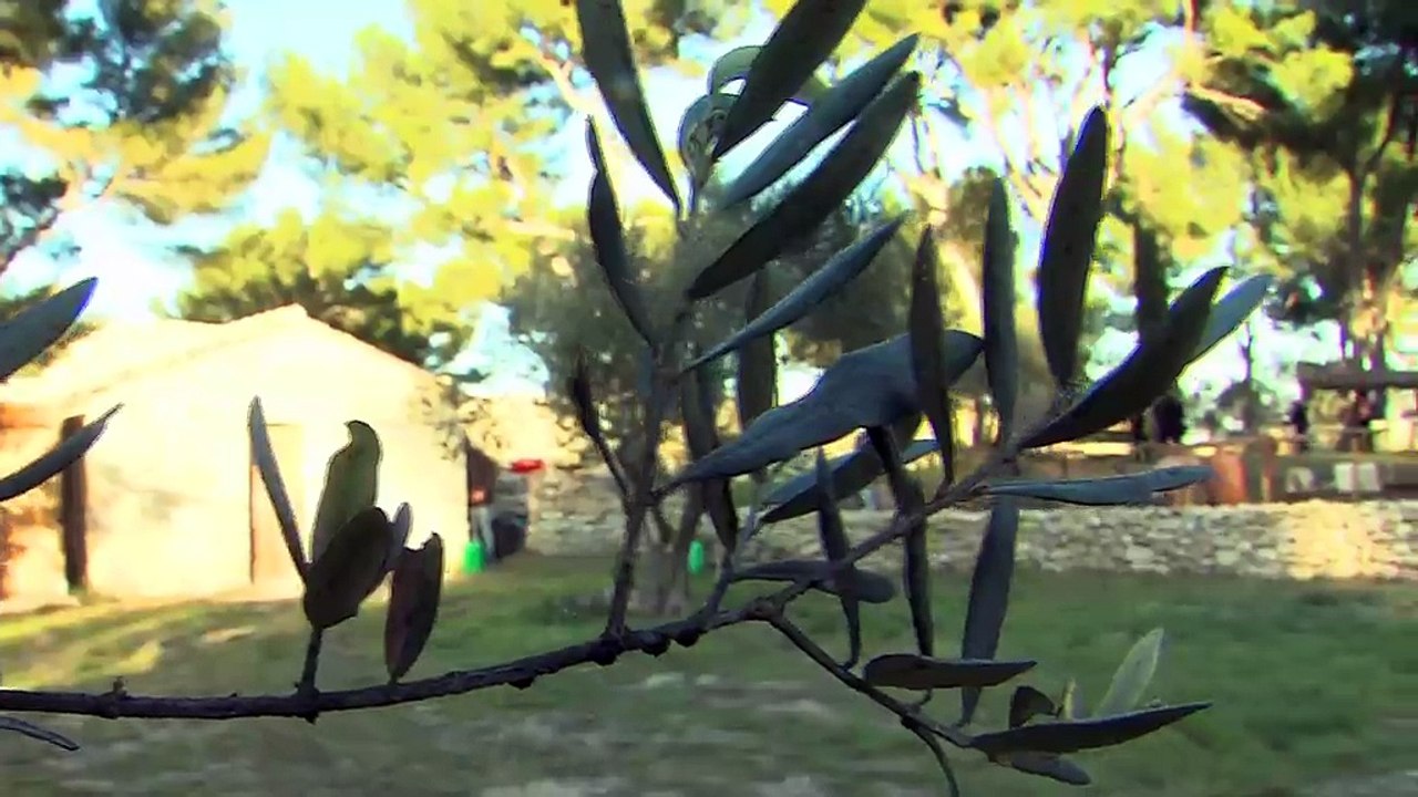 Les explications de Denis Delpalillo avec des extraits de la reconstitution