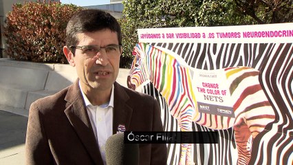 Download Video: 21 hospitales españoles celebran el Día Mundial de los Tumores Neuroendocrinos