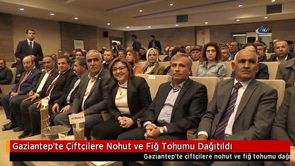 Gaziantep'te Çiftçilere Nohut ve Fiğ Tohumu Dağıtıldı