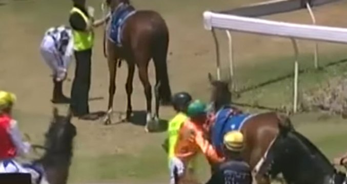 Huysuzlanan Atına Yumruk Atan Jokey, 2 Hafta Men Cezası Aldı