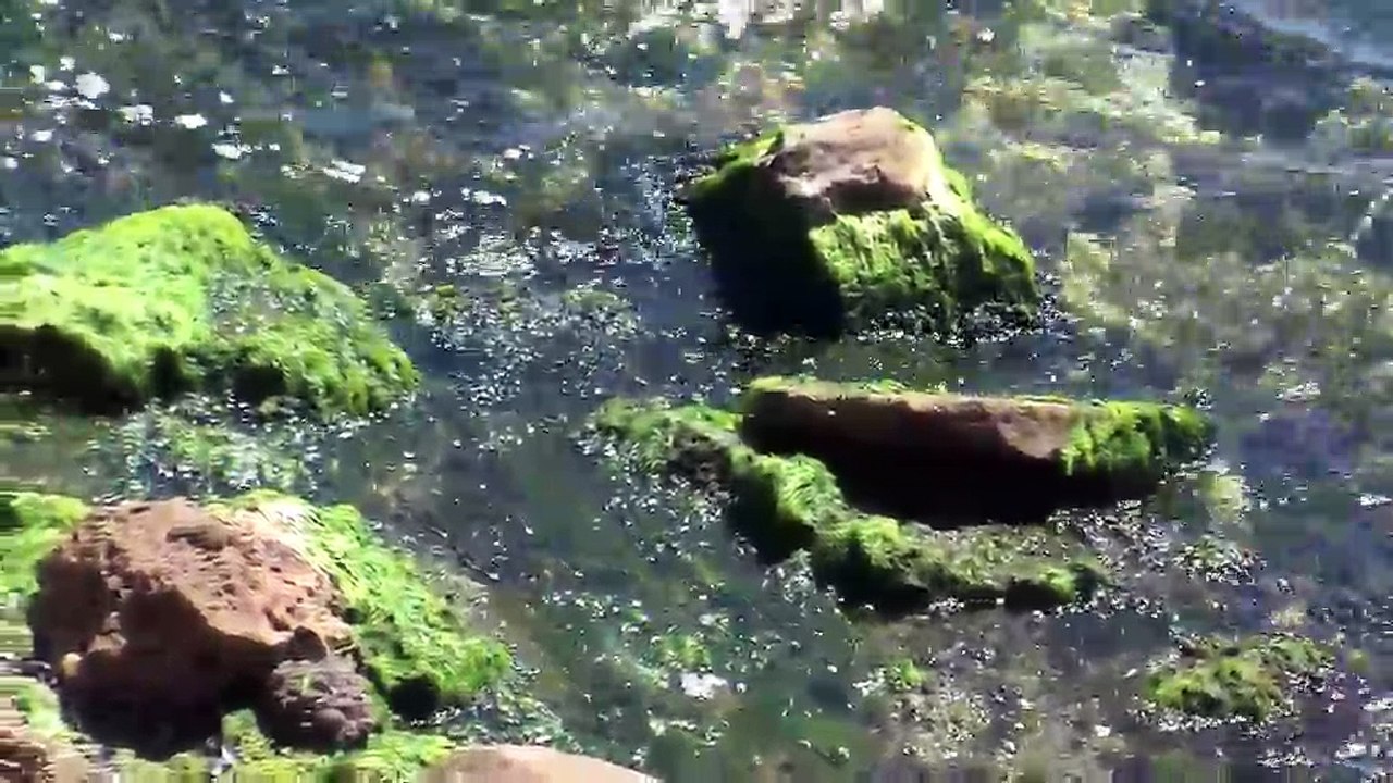 L'adjudant chef Christophe Brouillet de la brigade nautique de Martigues