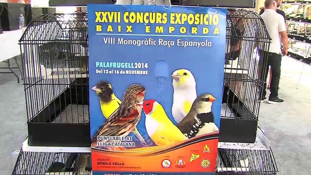 Présentation des concours par Robert Toquebeuf, vice président de l'association