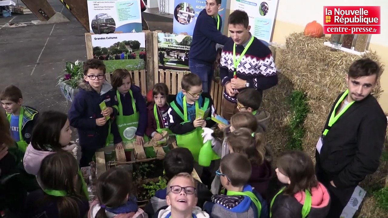 VIDEO. Poitiers : 900 jeunes de Grand-Poitiers découvrent une ferme grandeur nature