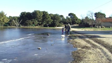 Les promeneurs n'avaient jamais vu ça!