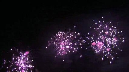 Revivez des extraits du spectacle pyromélodique.