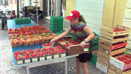 Le nouveau marché paysan en images et interviews