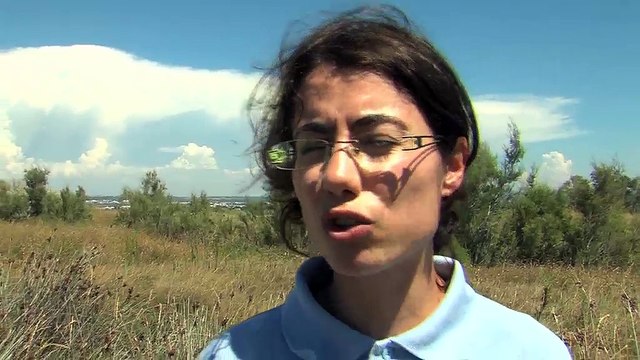 Sabrina Malifarge, administrateur des Affaires Maritimes de Marseille.