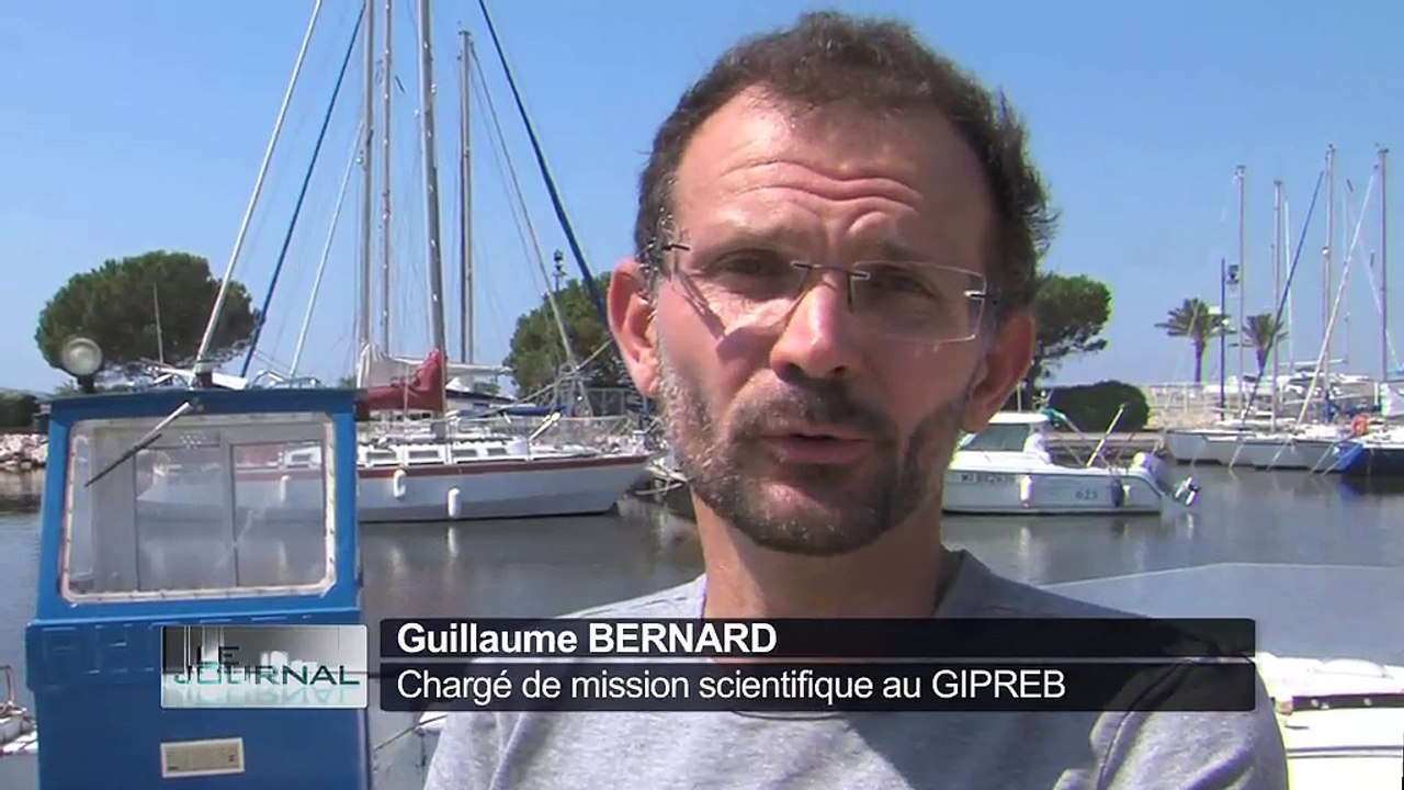 Interview de Guillaume Bernard