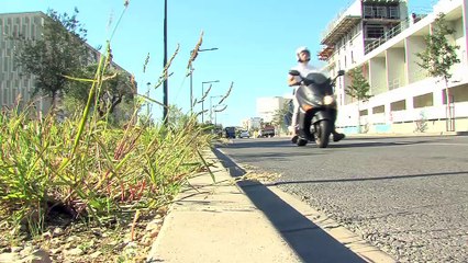 Interviews de M. Sename (CPA) et Mme Michel (Vitrolles)