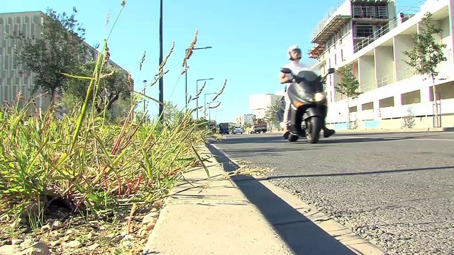 Interviews de M. Sename (CPA) et Mme Michel (Vitrolles)