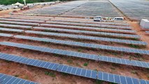 Brasil: Pirapora, la mayor central solar de América Latina