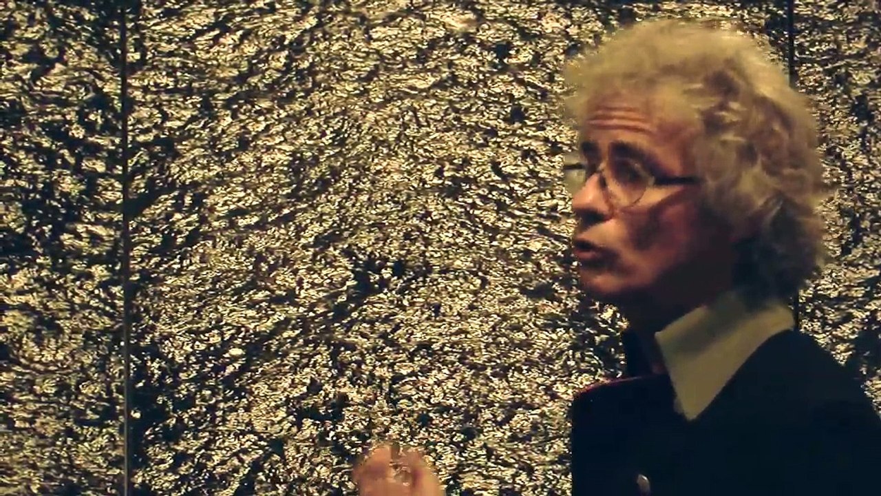 Éric Bourret nous présente plusieurs de ses oeuvres exposées au Musée Ziem.