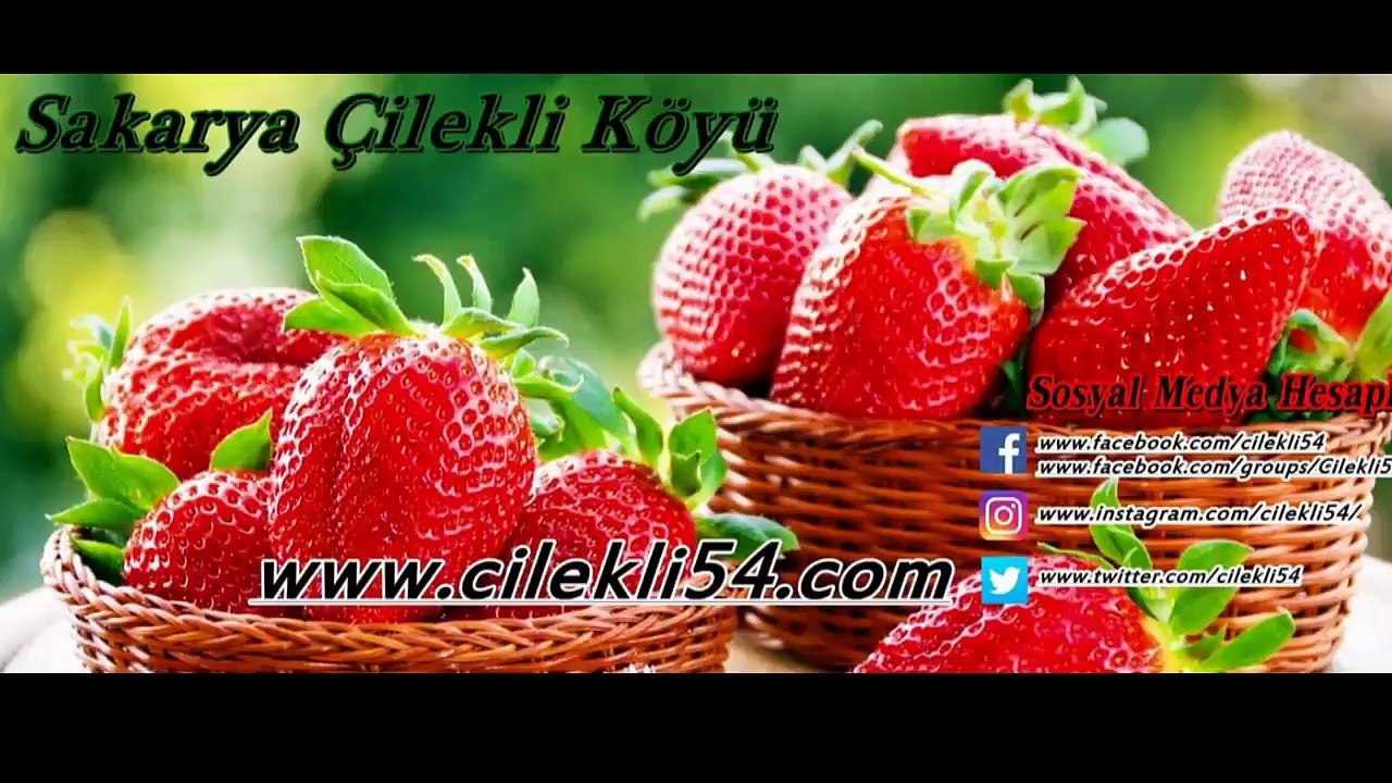 Sakarya Pamukova İnönü Yaylası Drone Videosu