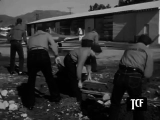 112. Highway Patrol E113 In Stolen Plane Copter