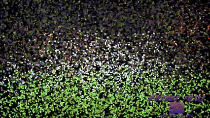 Top 5 golazos de franchesco totti