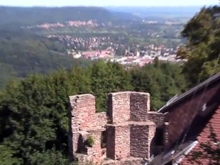 Château du Haut-Barr (7)