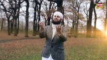 Hafiz Ahmed Raza Qadri - Sarkar Aaye - 2017 - New Naat - Rabi Ul Awal (1)