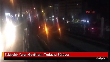 Eskişehir Yaralı Geyiklerin Tedavisi Sürüyor