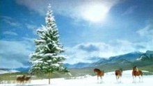 cheval-horses boules de neige