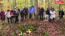 VIDEO. Des collégiens dans les tranchées d'entraînement en forêt de Blois