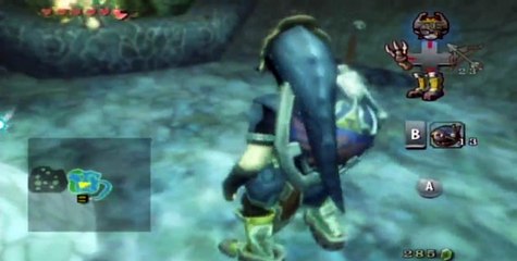 Let's Play Twilight Princess Part 21:We're Going To Need A Bigger Net