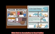 Read 5 Very Good Reasons to Punch a Dolphin in the Mouth (And Other Useful Guides) (The Oatmeal) Full Book