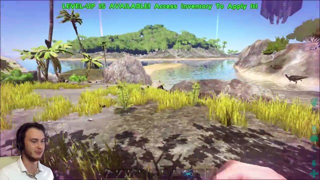 Пустынный титан арк. Сет на арк вардена 2020. Арк survival evolved. Тек рекс. Chrono ark.