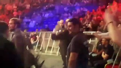 Conor McGregor frappe un arbitre