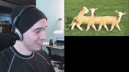 DID I TAKE LSD - Reacting to Baaa - Charmx Reupload