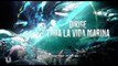 JUSTICE LEAGUE 'Aquaman Underwater' Trailer (2017) Jason Momoa, Movie HD--fG8vhAswwM