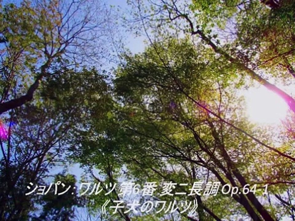 クラシック名曲 ワルツ (ショパン)