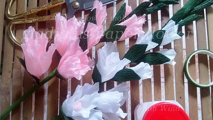 Gladiolus paper flower tutorial - Hoa lay ơn từ giấy nhún 1