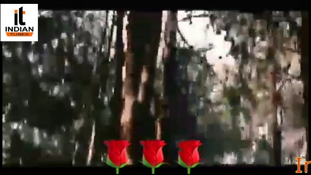 Hamne Tumko Dil Ye De Diya - Gunaah ! Dino Morea ! Bipasha Basu By Indian Tubes