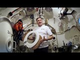 Saturation Divers Live Under the Sea for Weeks | World's Strangest