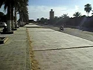 mobilette a timimoune