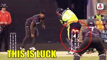 Bails not falling | Funny not outs in Cricket | Best cricket moments