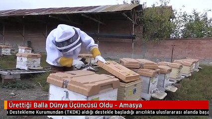 Ürettiği Balla Dünya Üçüncüsü Oldu - Amasya