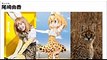 けものフレンズ舞台化　ビジュアルとアニメ、元ネタ比較