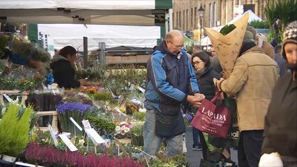 هذا الصباح-"كولومبيا رود".. أحد أقدم أسواق الأزهار بالعالم