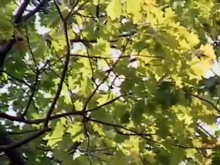 Mighty Machines full - In the City