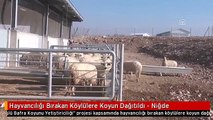 Hayvancılığı Bırakan Köylülere Koyun Dağıtıldı - Niğde