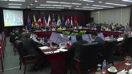 美 빠진 TPP, 회생의 발판 마련...11개국 "핵심 요소 합의" / YTN