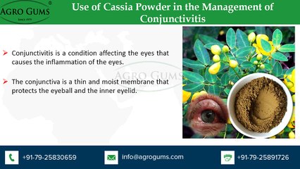 Therapeutic Properties of Cassia Tora
