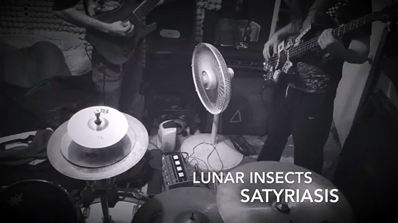 SATYRIASIS