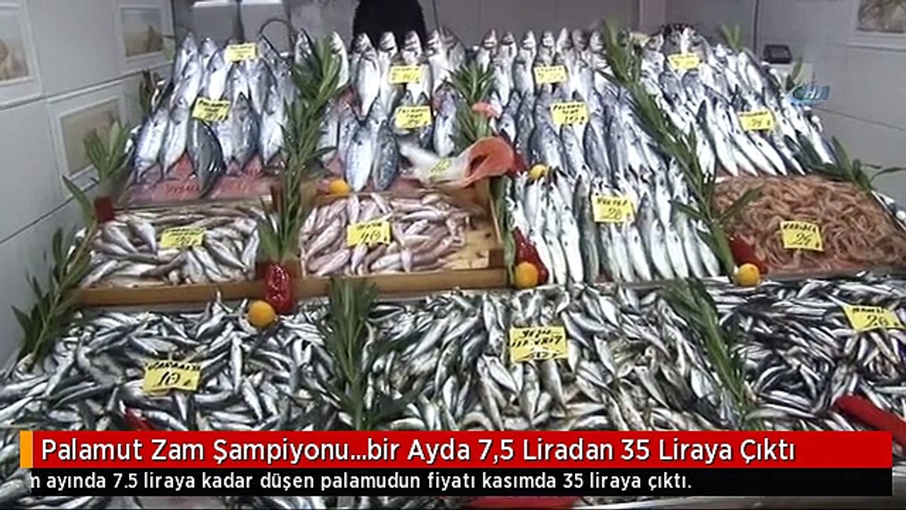 Palamut Zam Şampiyonu...bir Ayda 7,5 Liradan 35 Liraya Çıktı