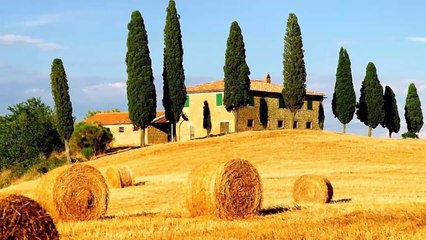 أشياء مدهشة عثروا عليها داخل المنازل