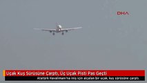 Uçak Kuş Sürüsüne Çarptı, Üç Uçak Pisti Pas Geçti