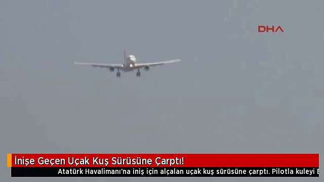 İnişe Geçen Uçak Kuş Sürüsüne Çarptı!