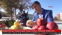 Niğde Elmayı Koparmayan Soyan Üretici, Rekorlar Kitabı İçin Destek Arıyor